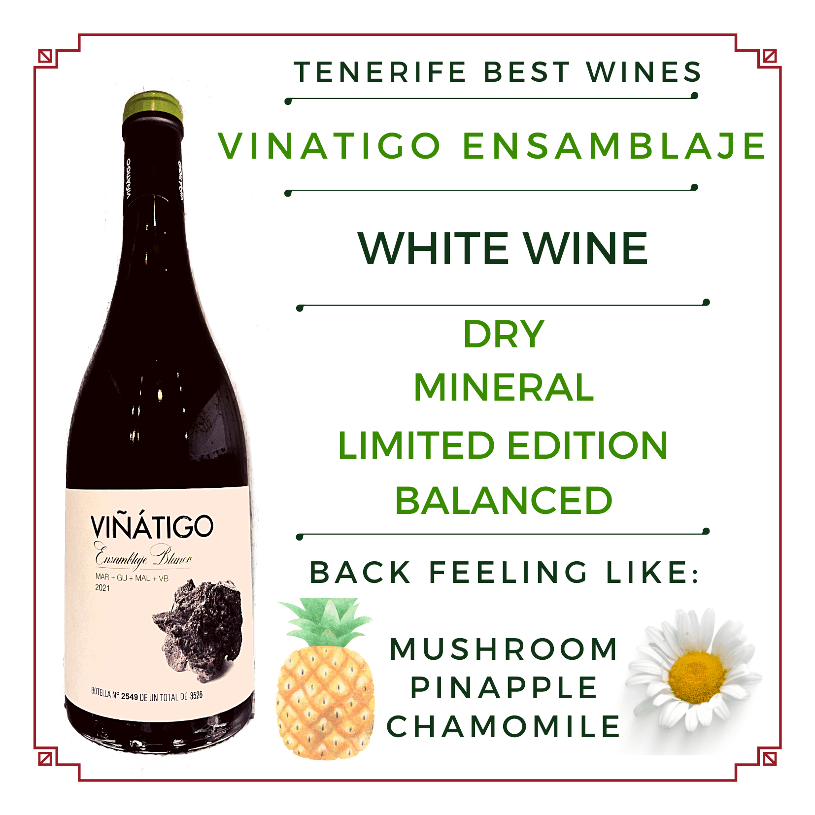 VIÑÁTIGO ENSAMBLAJE blanco
