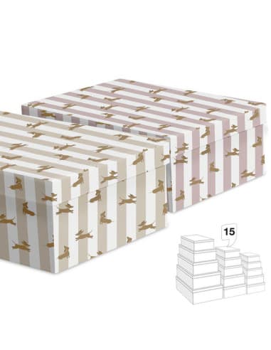 Juego 15 cajas teckel 2M (2 - 4)