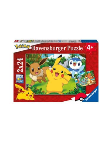 Puzzle pokémon