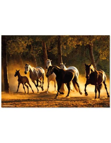 Poster caballos andaluces