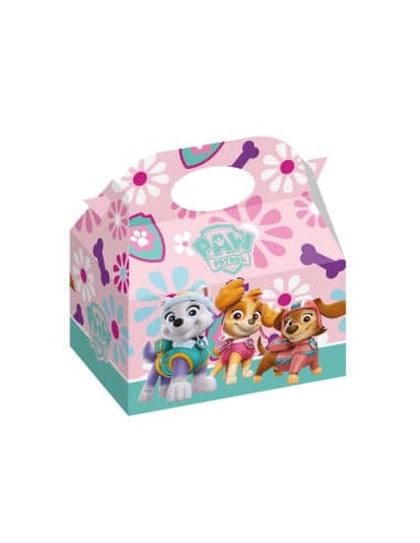 Caja DE regalo pack 12 skye Y everest PAW patrol
