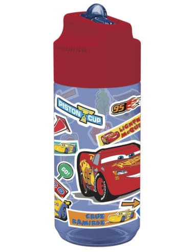 Stor botella ecozen hidro pequeña 430 ML cars stic