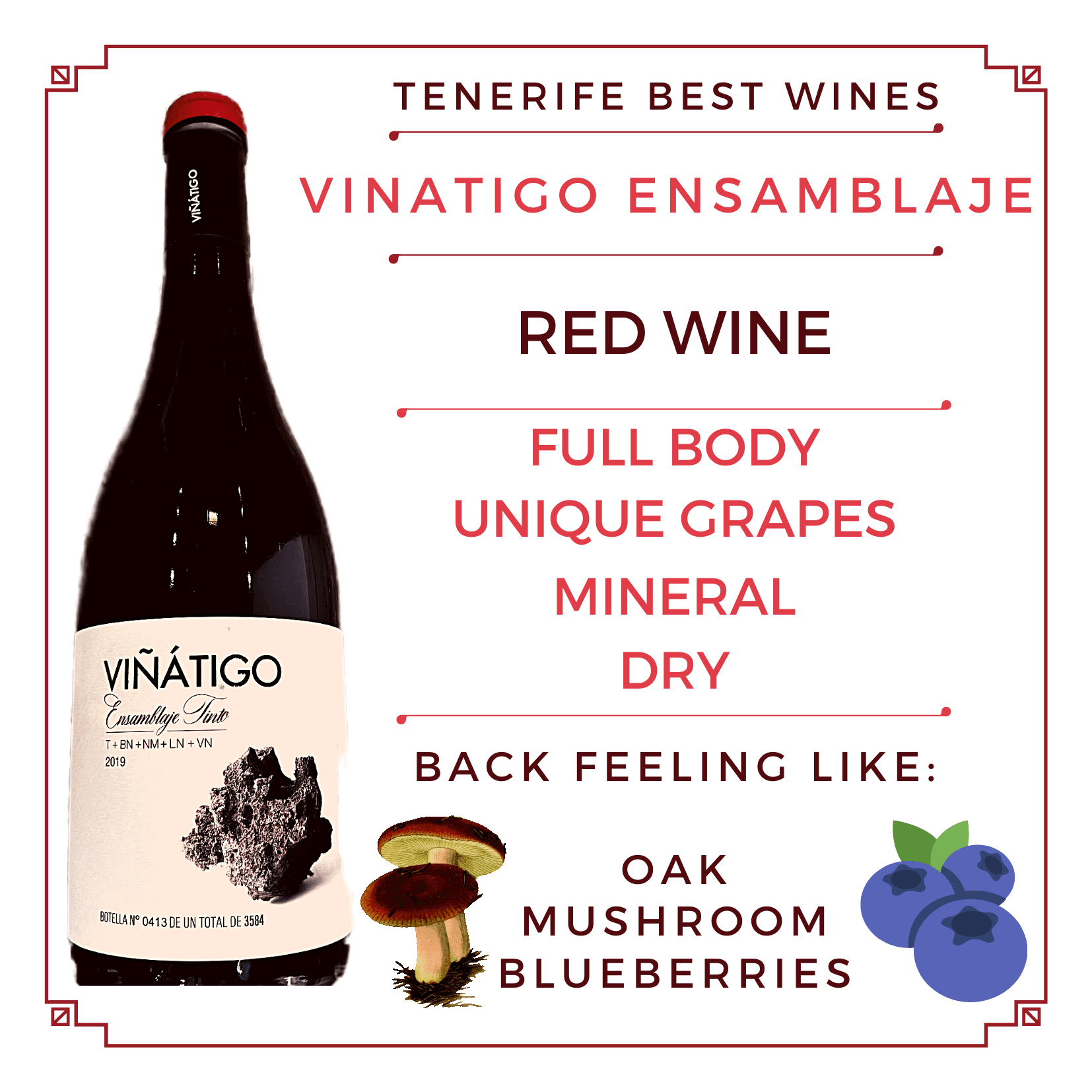 VIÑÁTIGO ENSAMBLAJE tinto