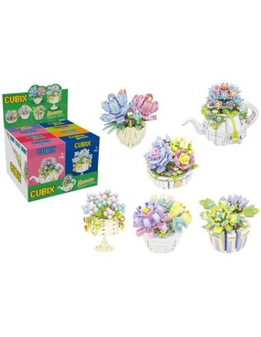 Cubix succulent plants w/pot 6