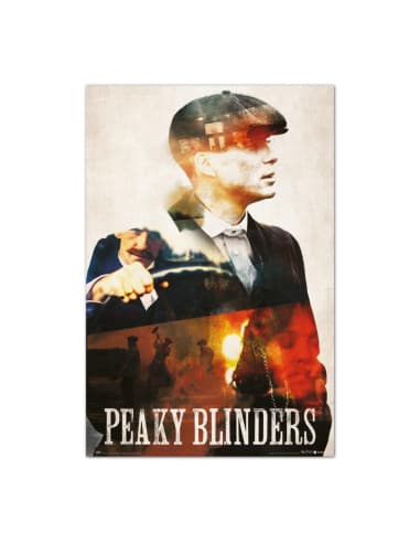 Poster peaky blinders shelby family
