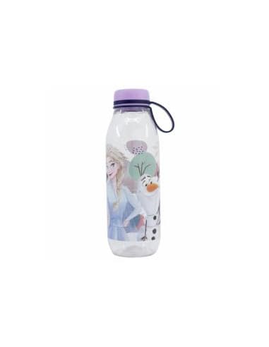 Stor botella aventura ecozen 650 ML frozen trust T