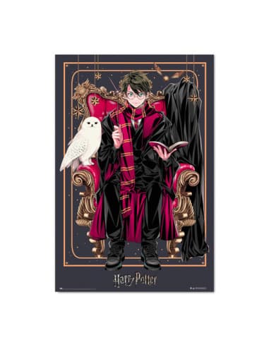 Poster harry potter wizard dynasty harry potter