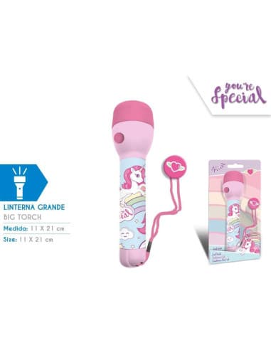 Linterna LED grande YOU ARE special (6x4)