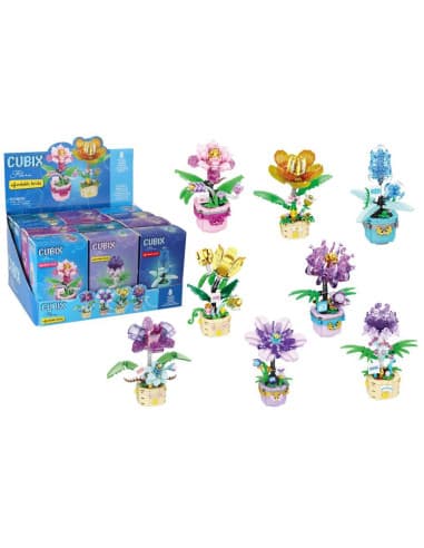Cubix transparet flowers with POT