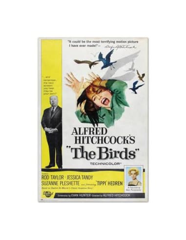 Poster THE birds