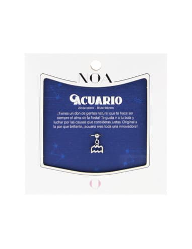 Charm DE acero plateado - acuario