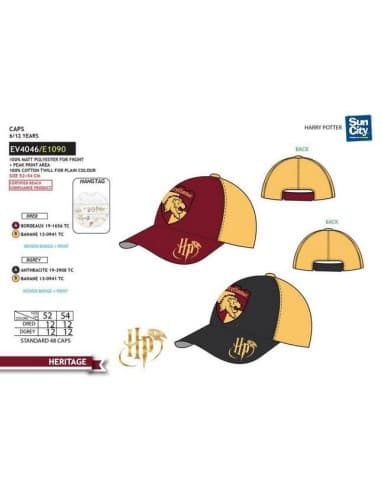 Gorra harry potter