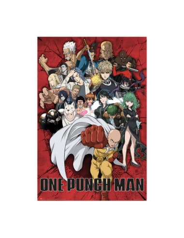 Poster ONE punch MAN heroes